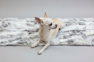 gray small rabbit fur throw