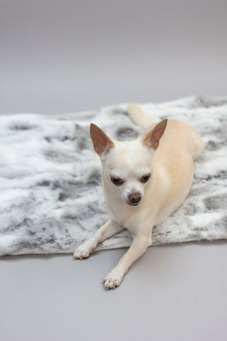 gray small rabbit fur throw