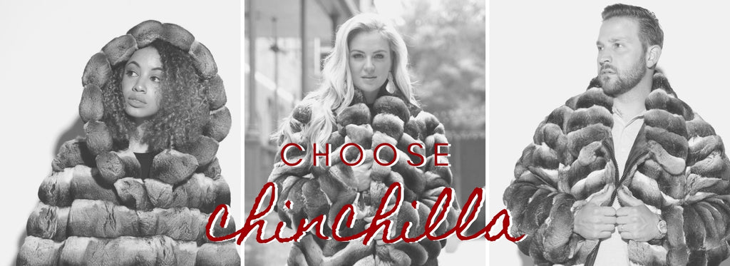 Choose Chinchilla Fur
