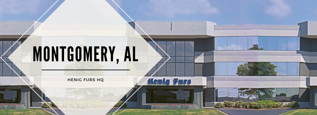 Henig Furs Head Quarters (HQ) at Montgomery, AL