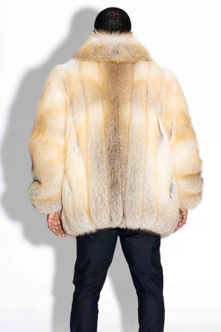 back of man wearing a custom-made full skin golden island fox fur bomber against a white backdrop