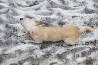 gray small rabbit fur throw