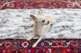gray small rabbit fur throw