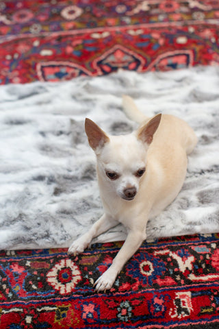 gray small rabbit fur throw