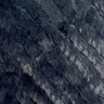 Navy Rabbit