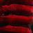 Red Chinchilla
